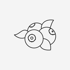 fruits blueberry line icon