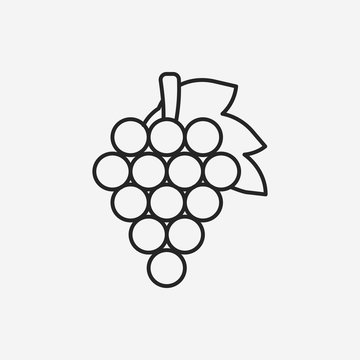 fruits grapes line icon