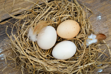 Eggs nest over wooden table background