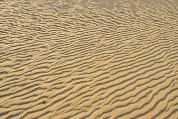 Dry rippled golden sand, ideal for backgrounds and textures