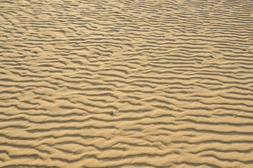 Dry rippled golden sand, ideal for backgrounds and textures