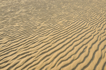 Dry rippled golden sand, ideal for backgrounds and textures
