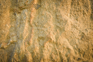 Texture of stone with golden sunset light