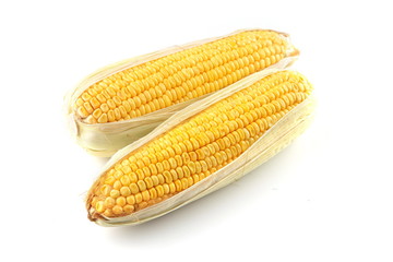 Corn