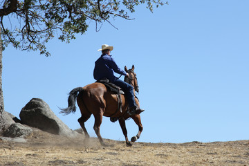 A cowboy riding his horse on a mountain into a big blue sky.