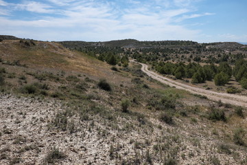Fototapeta premium Paysage d'Andalousie, Espagne