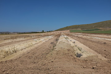 Champs de terre labourés.