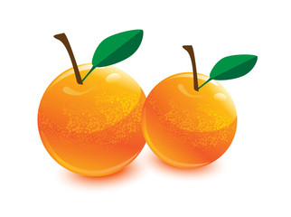 orange, orange fruit with green leaf, orange vector