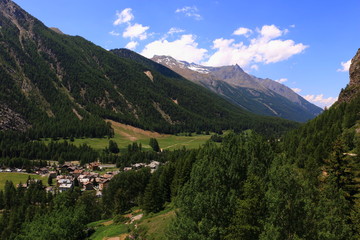 Fototapeta na wymiar Parco del Gran Paradiso summer view of valley