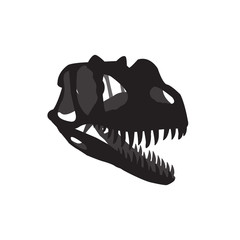  dinosaur skull  vector