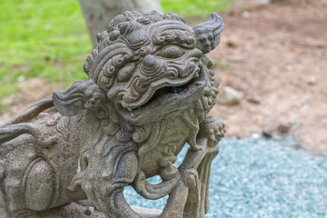 Fototapeta na wymiar Stone dragon face