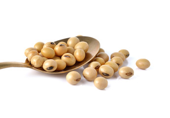 dry soy bean in brass spoon on white background