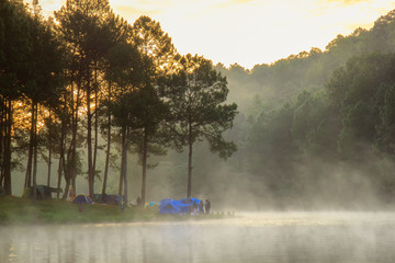 Sunrise at Pang-ung, pine forest park , Mae Hong Son, North of Thailand, edit warm tone