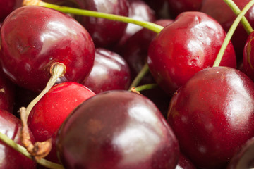 berry cherry