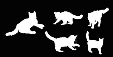 five white kittens silhouettes collection