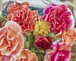 colorful carnation flowers bouquet closeup