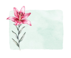 Watercolor lily flower
