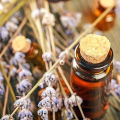 Bach, apothecary, remedy.