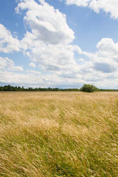 Landschaftspark