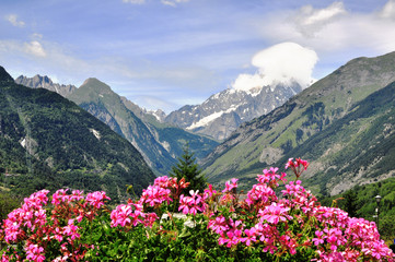 Fototapeta na wymiar Flowers and mountains