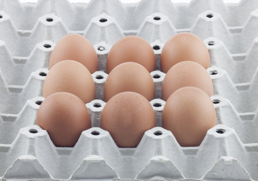 Eggs Many eggs