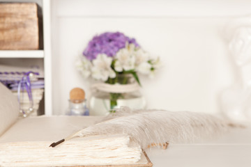 Schmuckhafte Füllfeder liegt auf einer leeren Seite eines Buches