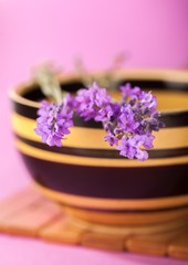 Lavender, Herbal Medicine, Herb.