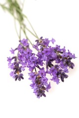 Fototapeta premium Lavender, Spa Treatment, Lavender Coloured.