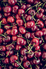 bio cherry farmer's market