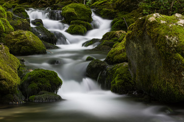 Fototapeta na wymiar Waterfall on Bigar stream, Natural Park Cheile Nerei-Beusnita, Romania