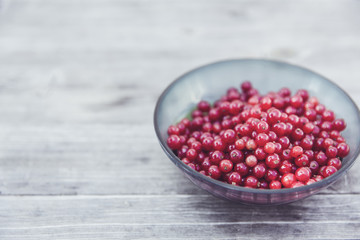fresh bio red currant