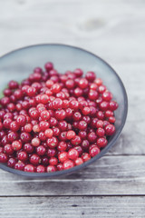 fresh bio red currant