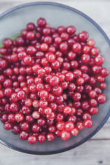 fresh bio red currant