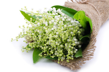 lilies of the valley on the sacking isolated on white