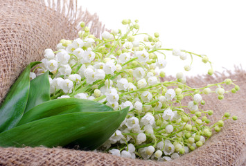 lilies of the valley on the sacking