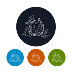 Icon  Watermelon in the Contours