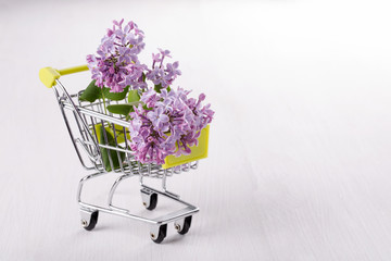 Lilac branch in a small  shopping cart