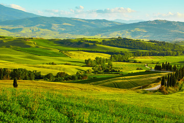 Tuscany, rural sunset landscape. Countryside farm, cypresses tre