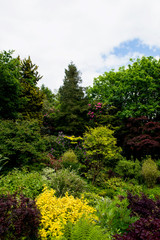 Beautiful English Garden in Summer