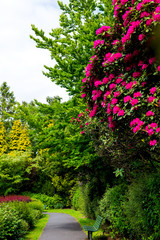 Panele Szklane Podświetlane  Piękny ogród angielski latem