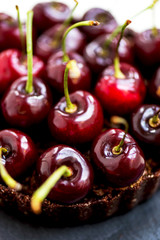 Raw Vegan Cherry Tart