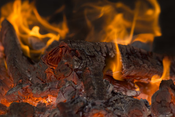 Closeup to firewood burning