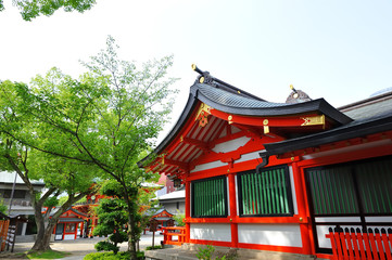 Fototapeta premium 日本 神戸三宮の生田神社