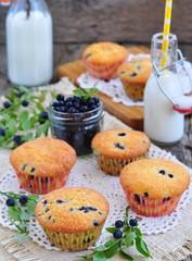 fresh muffins with blueberry and milk on wooden background