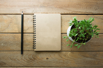 flower pot  Placed on a wood table with notebook and pencil