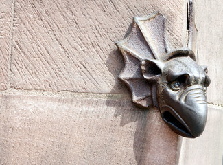 violet and white calla lily