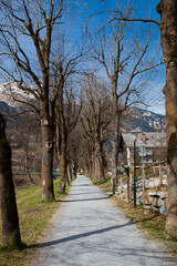 path for walks in the park