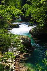 Vintgar Gorge near Bled in Slovenia.