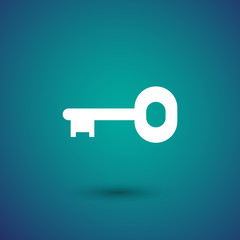key icon, vector