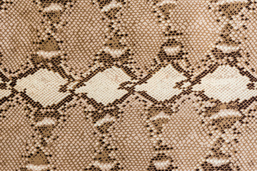 texture of fabric striped snake leather